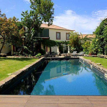Апартаменты Quinta Araucaria Funchal Фуншал Экстерьер фото